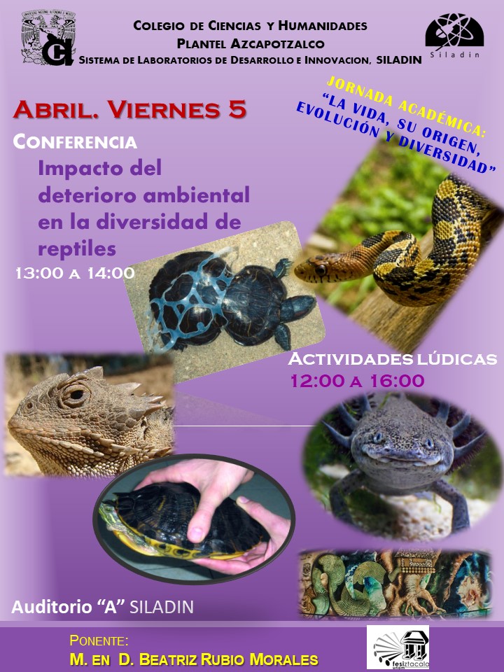 6-invitacion-diversidad-beariz-rubi-19-2