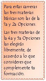 Cuadro de texto: Para estas carreras las tres materias básicas son las de la 1a y 2a Opciones.Las tres materias de la 4a y 5a Opciones las elegirás libremente, de acuerdo a lo que consideres que complemente tu formación.